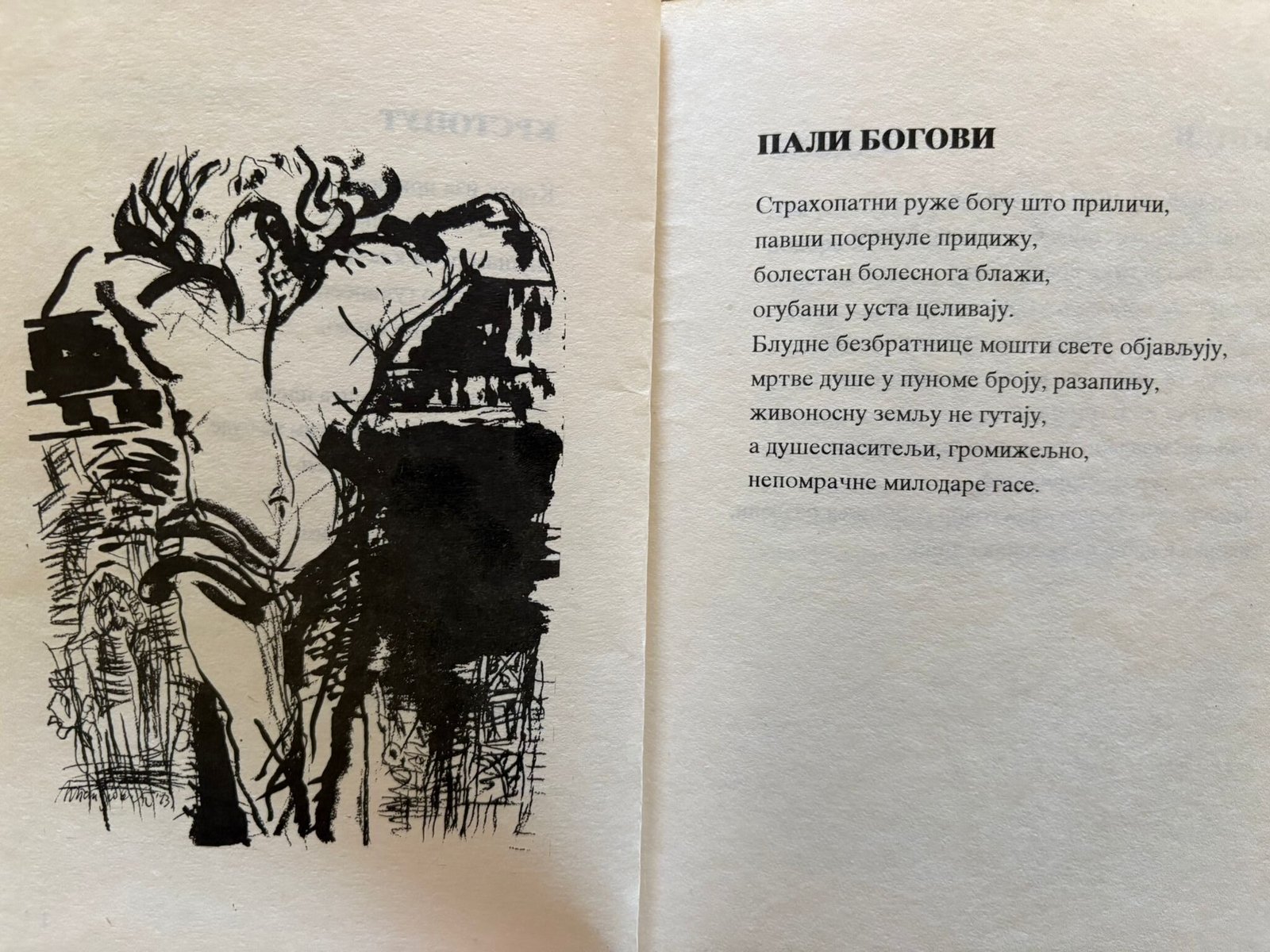 WhatsApp Image 2025-09-25 at 12.37.45 (2)