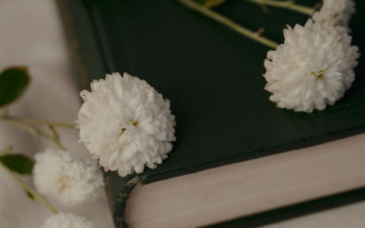 Kako je sve počelo – ljubav prema poeziji